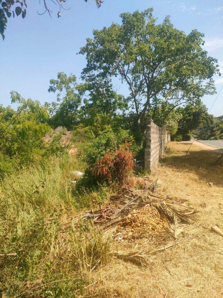 WhatsApp Image 2025-01-29 at 18.29.37
