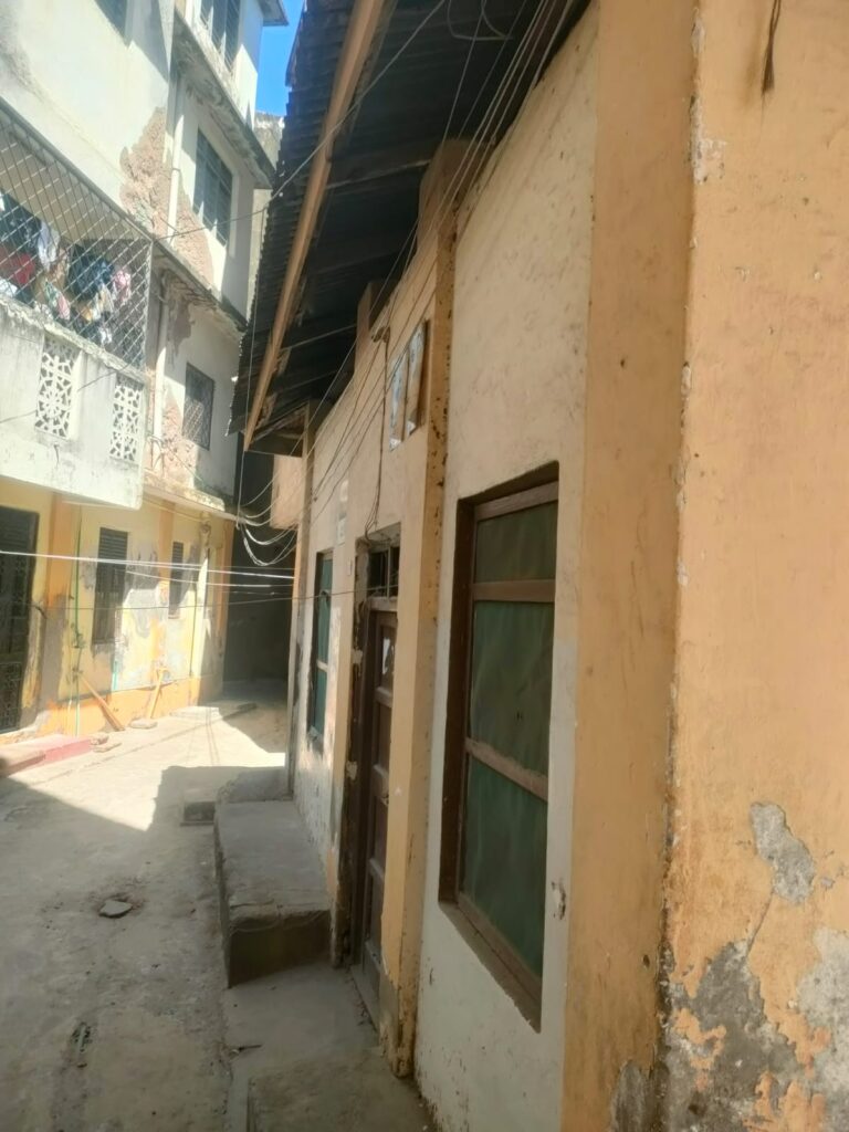 WhatsApp Image 2025-02-12 at 17.14.28