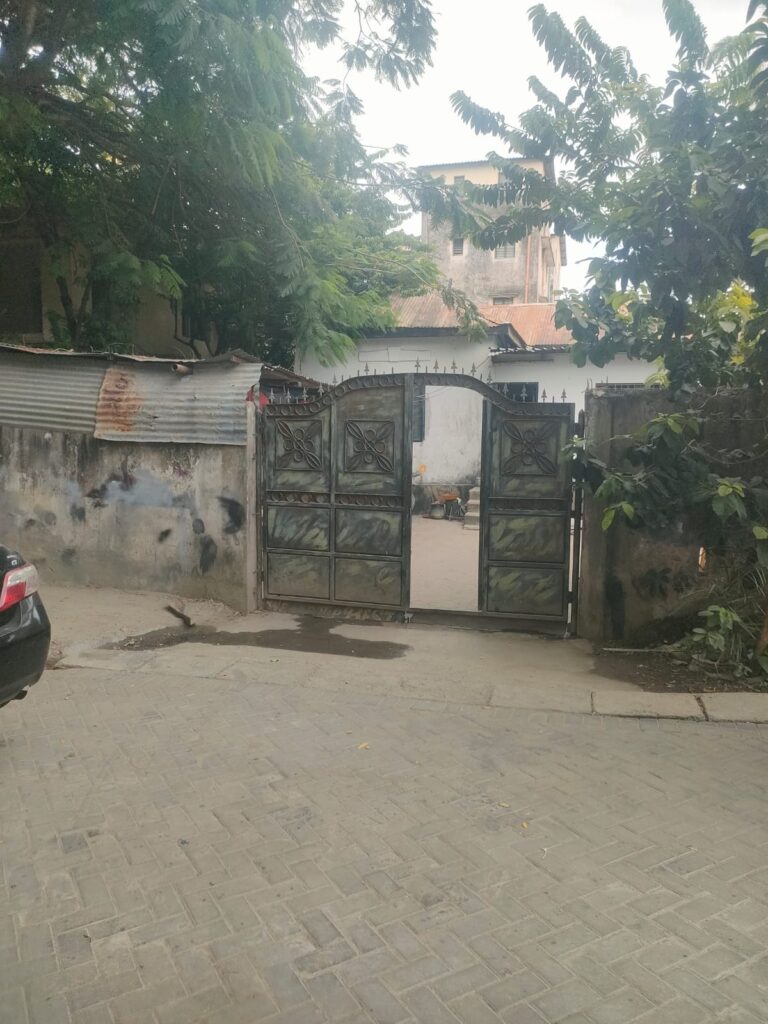 WhatsApp Image 2025-02-12 at 17.16.43