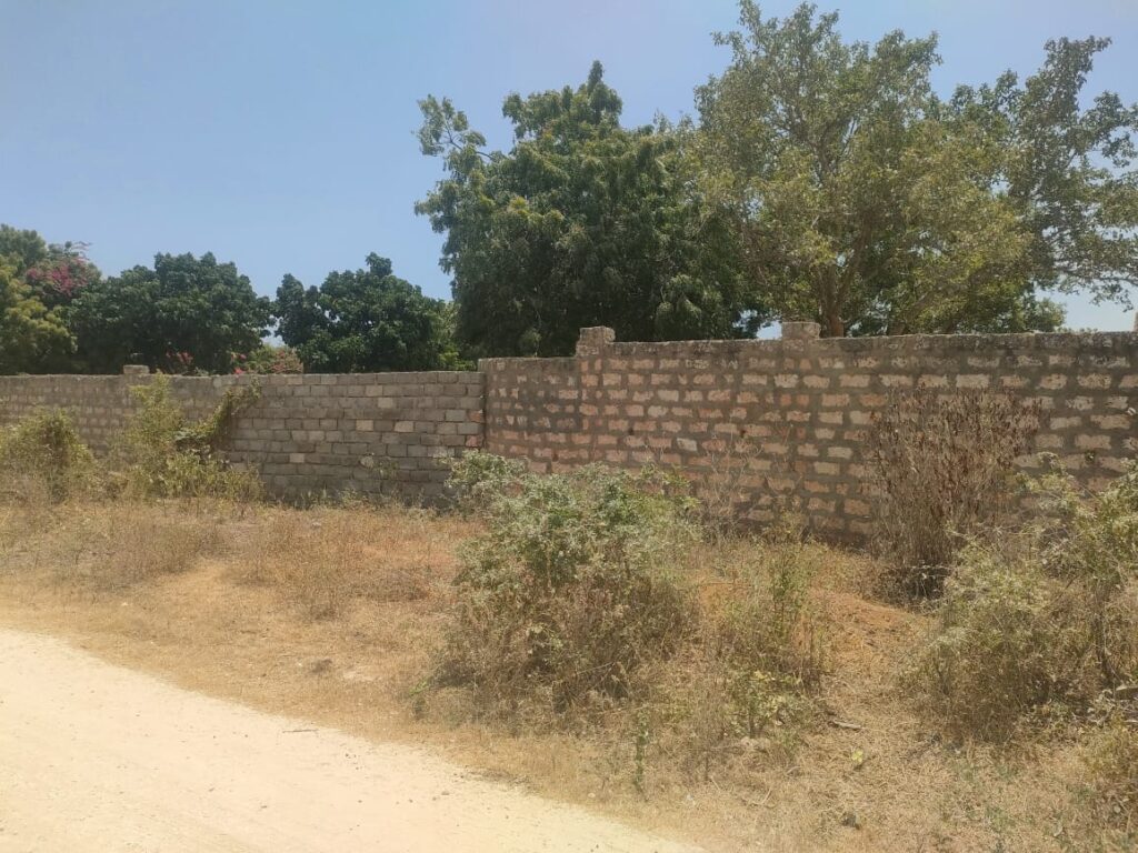 WhatsApp Image 2025-02-19 at 10.47.32