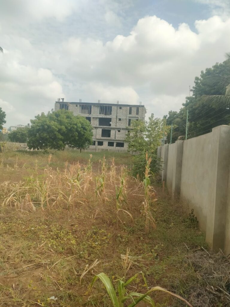 WhatsApp Image 2025-02-19 at 10.49.26 (1)