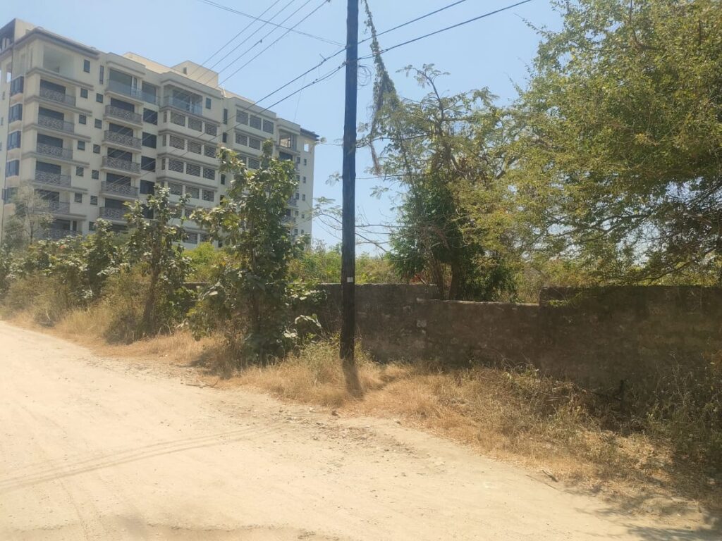 WhatsApp Image 2025-03-10 at 15.12.25 (1)