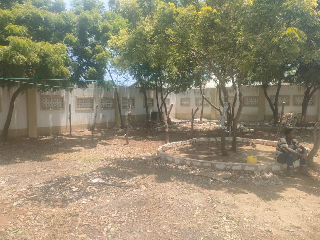WhatsApp Image 2025-03-27 at 17.14.13