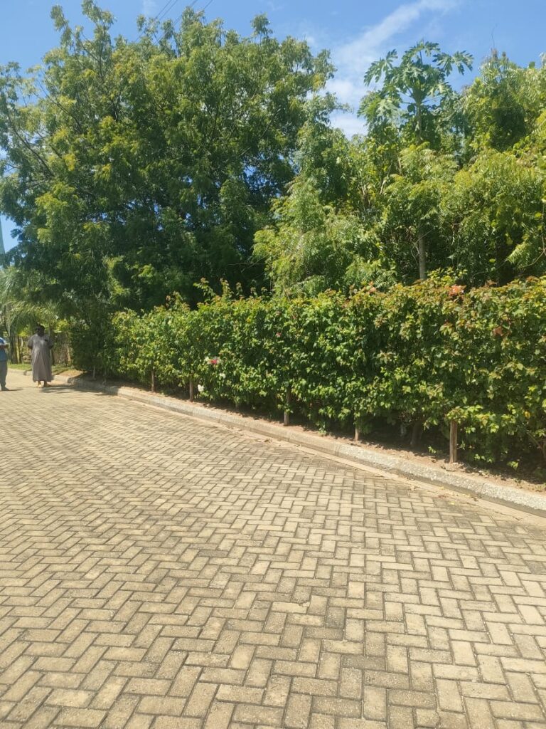 WhatsApp Image 2025-04-10 at 11.30.17 (1)