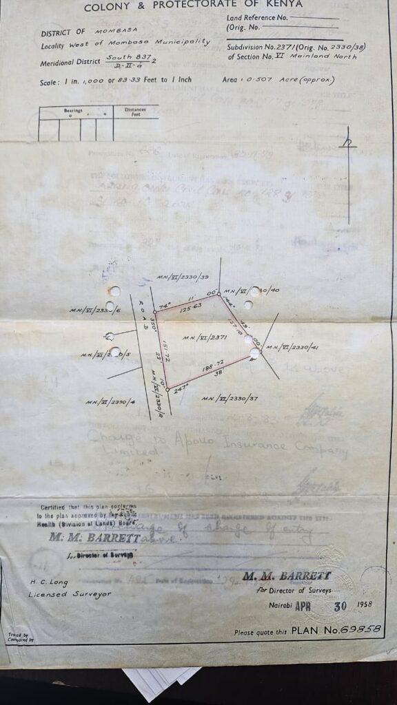 WhatsApp Image 2025-07-29 at 14.31.04