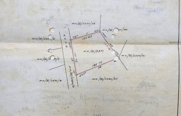 WhatsApp Image 2025-07-29 at 14.31.04